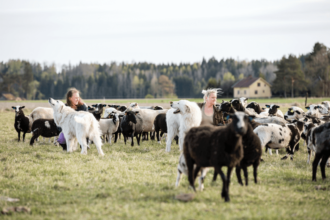 Här vaktar Inge och Christin