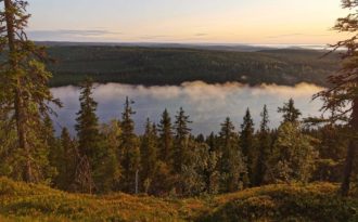Från Stockholm till storslaget skogslandskap