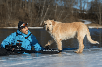 Gatuhunden Arthur har kommit hem till sin nya familj