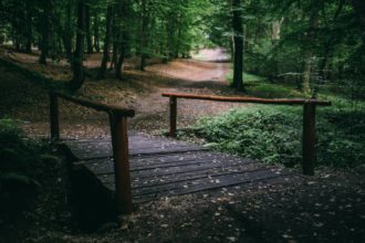 träbro över en å i skogen