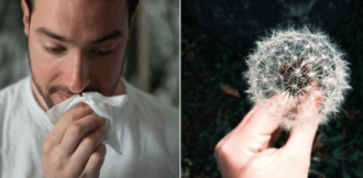 Så kan du bota din allergi