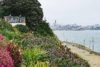 De västra sluttningarna av Alcatraz. San Fransiscos kajer och gator alltid närvarande. Madeiras stolthet, Echium candicans, dominerar. Till vänster Micheners redskapsskjul.