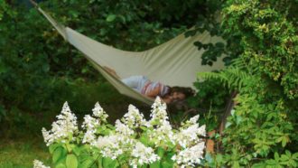 Flicka i hängmatta i lummig trädgård