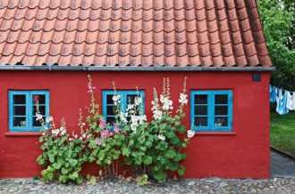 Stockrosorna passar hundraprocentigt bra mot den typiska husfasaden i den gamla delen av Ringkøbing på Jylland. Det skulle lika gärna kunna vara Skåne