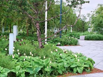 Med tillräckligt tjockt substratlager och tillgång till vatten kan lummiga parker för rekreation anläggas på tak.