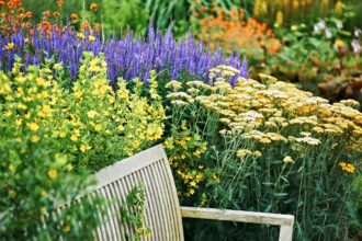 Grånande soffa i hårdträ, Wollerton Old Hall Garden i Shropshire