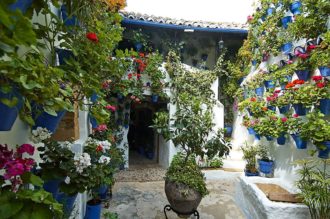 Alcázar Viejo kallas en stadsdel i centrala Córdoba som håller sina typiska andalusiska patios öppna för nyfikna året runt.