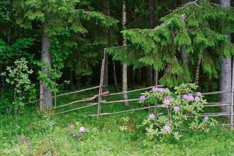 Hos Torgny Nordin står gärsgården som ett symboliskt skydd mot den intilliggande skogen som på ett symboliskt plan skyddar gården.