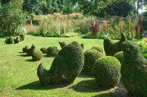 I trädgårdsdesignern Henk Gerritsens trädgård i Holland pryder buxbomshönor och -bollar en bra bit av gräsmattan