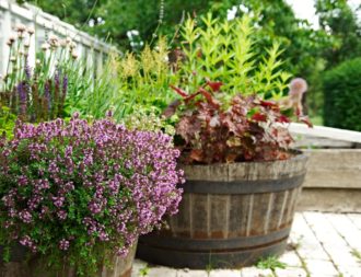 Fyll en bunke, eller annat kärl, till brädden med kryddiga, aromatiska växter som timjan, oregano, rosmarin, gräslök, persilja och vad annat som går att få tag i. Låt ljuvliga dofter sprida sig över nejden.