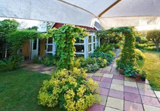 Floridas betongplattor i tre brända nyanser. I förgrunden jättedaggkåpa, i portalerna pipranka och humle.