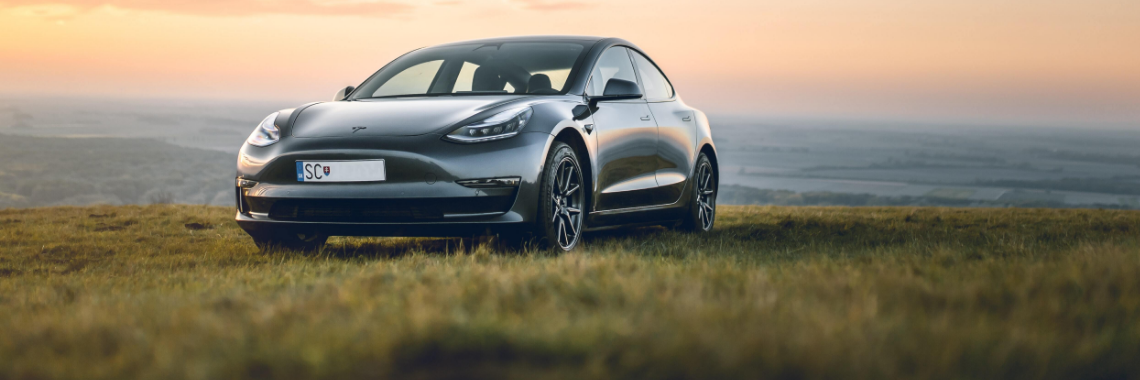 Glänsande bil på en äng