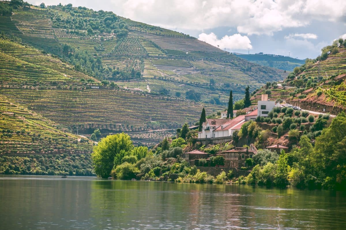 Längst floden Duero produceras vin i världsklass. Foto: Unsplash