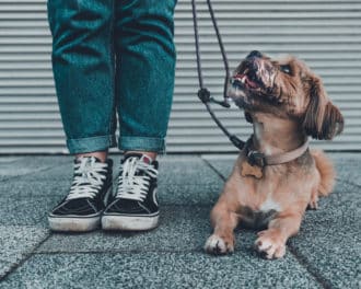 Foto: Susann Engquist